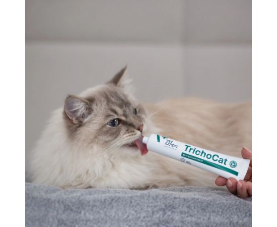 VETEXPERT TrichoCat - anti-hairball paste for cats - 120 g Сухой корм для кошек