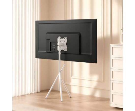 Maclean TV Floor Stand/Mount, 27–55", max. VESA 200x200, max. 60 kg, MC-181 W Крепления для телевизоров