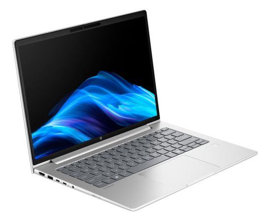 HP Probook 4 G1a (C07P5ES) (silver, AMD Ryzen 5 230, AMD Radeon 760M, 24 GB DDR5, 1 TB (1 TB SSD), without operating system) - German - DE Layout Portatīvie datori