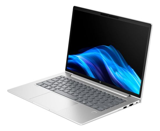HP Probook 4 G1a (C07P5ES) (silver, AMD Ryzen 5 230, AMD Radeon 760M, 24 GB DDR5, 1 TB (1 TB SSD), without operating system) - German - DE Layout Portatīvie datori