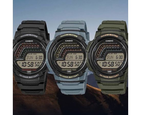 Casio Collection WS-1800-2AVEF Наручные часы