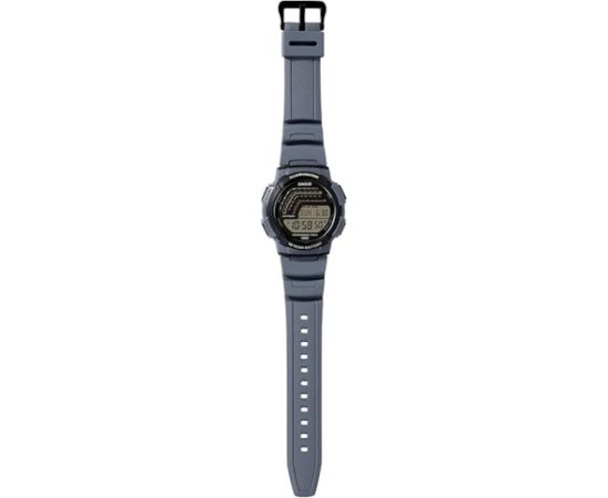 Casio Collection WS-1800-2AVEF Наручные часы