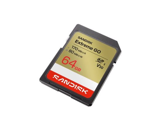 SanDisk Extreme GO 64 GB SDXC UHS-I Карты памяти