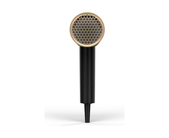 Wahl Ionic Flow hair dryer 2100 W Black, Gold Matu fēni