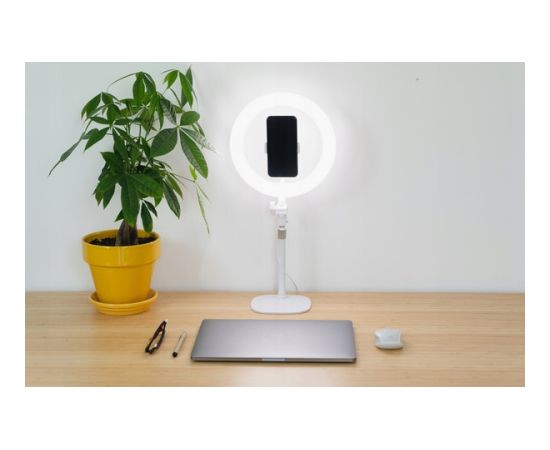 Kodak SL002 Desk Ring Light Foto studijai