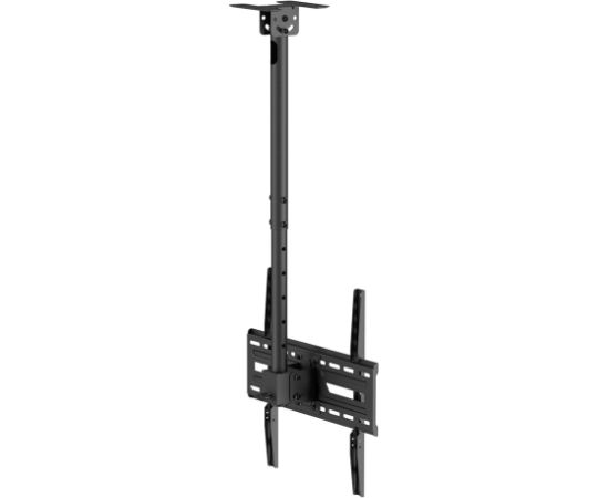 Maclean Ceiling Mount for TV, max. load 50 kg, 37–75", max. VESA 400x400, MC-175 TV un monitoru stiprinājumi, kronšteini