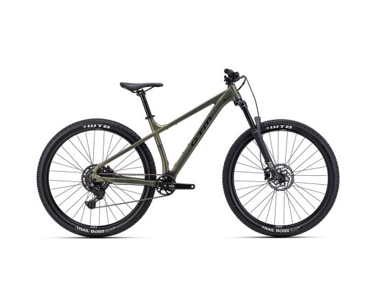 Bike CTM Zephyr Comp 29" Kalnu velosipēdi (MTB)