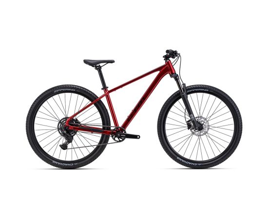 Bike CTM Rambler 2.0 29" Kalnu velosipēdi (MTB)