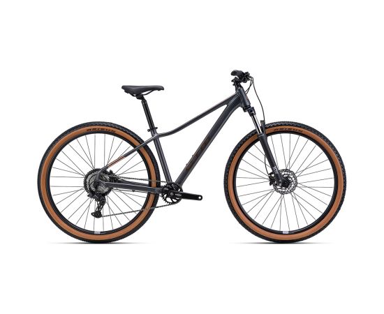 Bike CTM Charisma 1.0 29" Kalnu velosipēdi (MTB)