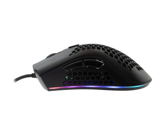 Baracuda CORAL-B BGM-031,l Black Peles, ievadierīces