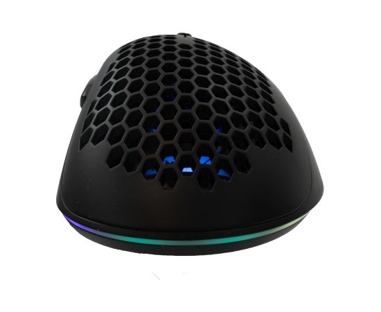 Baracuda CORAL-B BGM-031,l Black Peles, ievadierīces