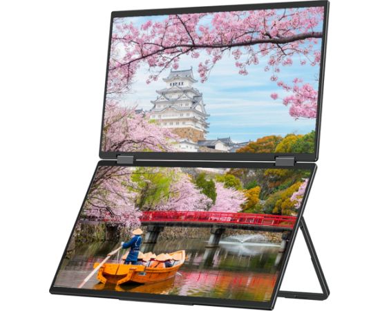 JAPANNEXT 39,6cm JN-DMD-IPS156F    Dual-Monitor         FHD LED / LCD мониторы