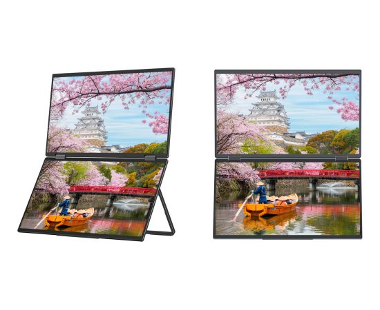 JAPANNEXT 39,6cm JN-DMD-IPS156F    Dual-Monitor         FHD LED / LCD мониторы