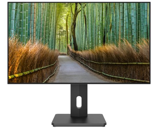 JAPANNEXT 68,6cm JN-27IPS4FLWQHDR-HSP    16:9 HDMI/DP   WQHD Monitori