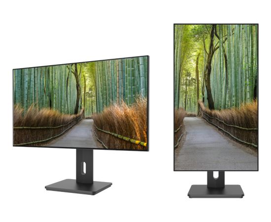 JAPANNEXT 68,6cm JN-27IPS4FLWQHDR-HSP    16:9 HDMI/DP   WQHD Monitori