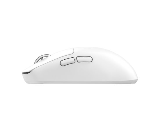 White Shark BORS-W WGM-5021 12000 DPI Wireless Gaming Mouse, Black Мыши