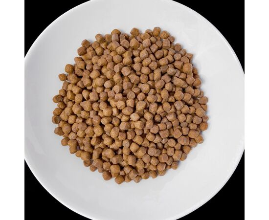 VET RESPONSE RENAL karma dla psa 8 kg Uzkodas sunim