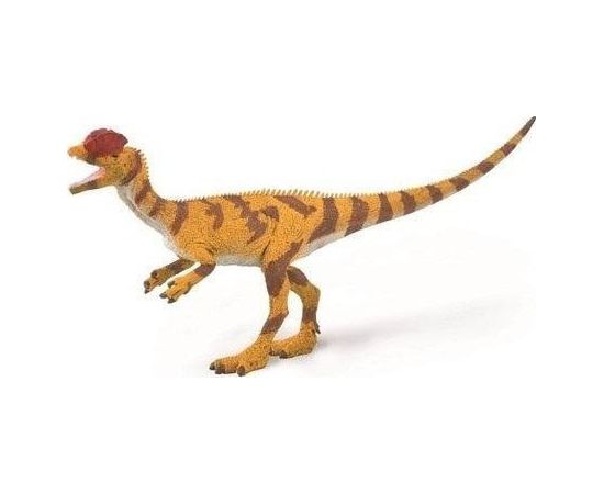 Figurka Collecta COLLECTA DINOZAUR DILOFOZAUR SKALA 1:40 Фигурки и герои