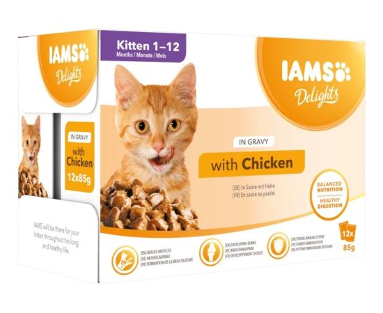 Eukanuba IAMS Delights Kitten Chicken in gravy - wet cat food - 12 x 85g Barība
