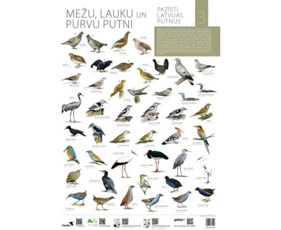 Gandrs Pazīsti Latvijas putnus III Mežu, lauku un purvu putni Книги о природе и животных Латвии
