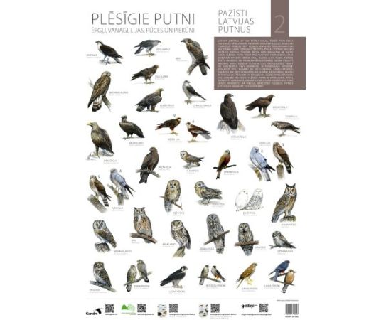 Gandrs Pazīsti Latvijas putnus II Plēsīgie putni Grāmatas par Latvijas dabu un dzīvniekiem.