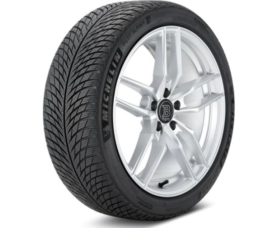 Michelin Pilot Alpin 5 255/30R19 91W Зимние покрышки