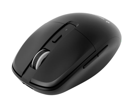 MOUSE USB OPTICAL WRL/MUSW2-6B-01 GEMBIRD Peles, ievadierīces