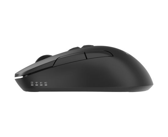 MOUSE USB OPTICAL WRL/MUSW2-7B-01 GEMBIRD Мыши