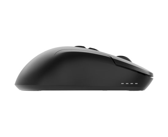 MOUSE USB OPTICAL WRL/MUSW2-7B-01 GEMBIRD Мыши