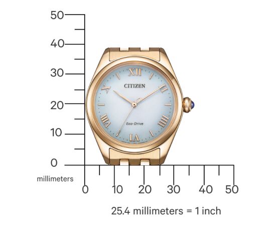 Citizen Eco-Drive EM1143-81X Rokas pulksteņi 