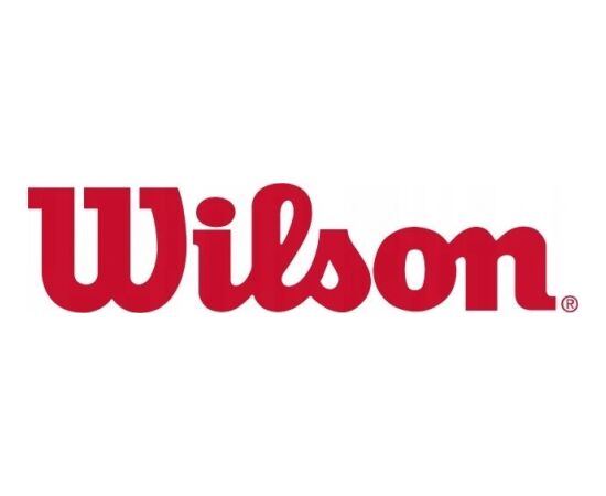 Wilson PIŁKA DO KOSZYKÓWKI WILSON NCAA LEGEND R.5 Для баскетбола