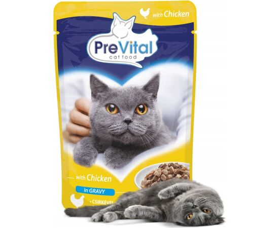 PREVITAL Chicken in gravy - wet cat food - 100g Barība