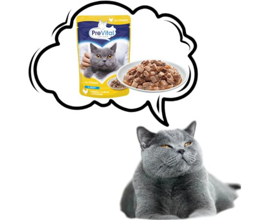 PREVITAL Chicken in gravy - wet cat food - 100g Barība