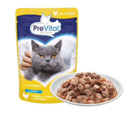 PREVITAL Chicken in gravy - wet cat food - 100g Barība