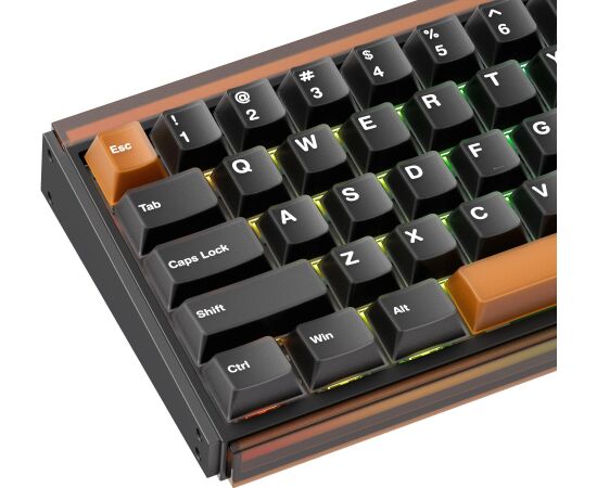 KEYBOARD WRL RAY68-HE/BROWN 103-RA68A-000 AKKO Клавиатуры