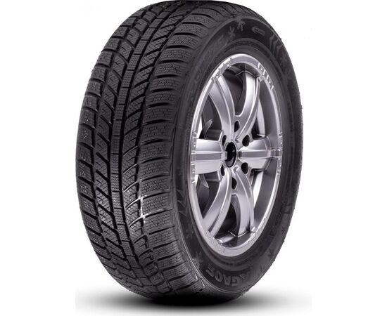 RoadX RX Frost WH01 195/65R15 91H Ziemas riepas