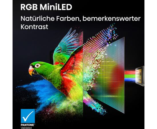 Hisense 65UR8DS RGB MiniLED (165 cm (65 inch)) Телевизоры