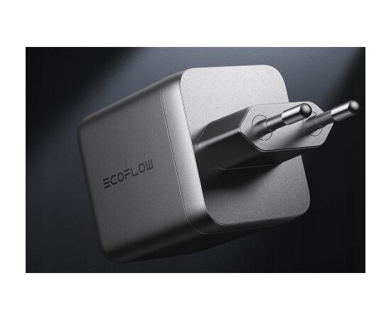 EcoFlow RAPID PRO/100W Зарядное устройство Зарядные устройства