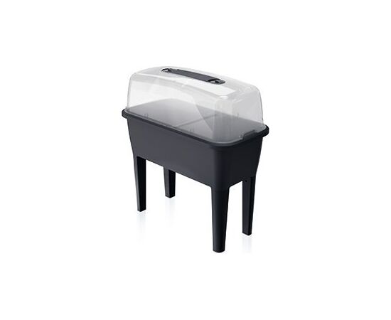 Mini siltumnīca Prosperplast 38 x 77 x 82 cm DREP770-S433 Siltumnīcas