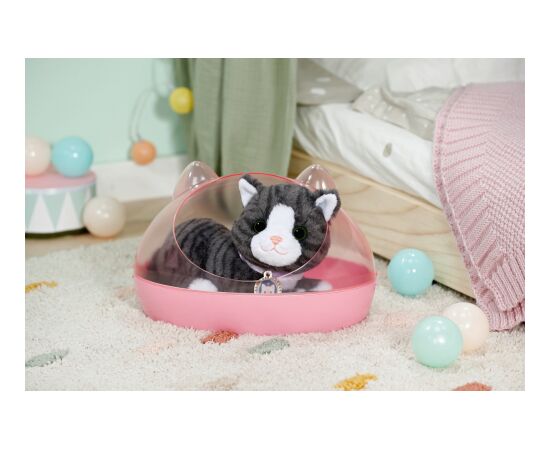 BABY BORN интерактивная кошка Cookie Новости - Детские товары