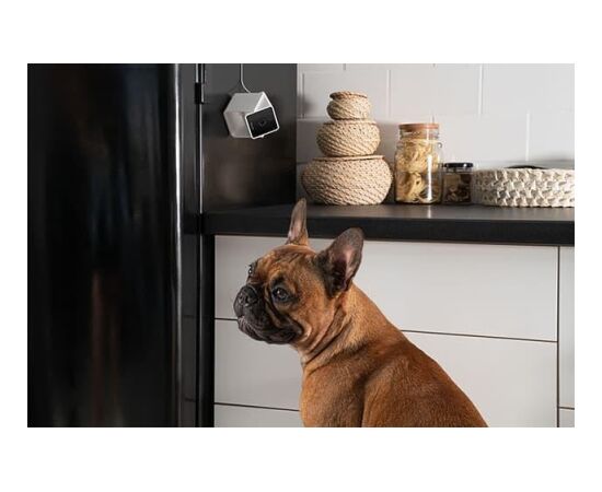 WRL CAMERA HD/CC10US PETCUBE Viedās iekārtas un piederumi