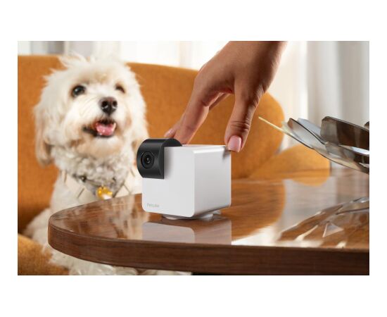 WRL CAMERA CAM 360/P36010US PETCUBE Viedās iekārtas un piederumi
