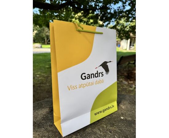 Gandrs papīra Mugursomas