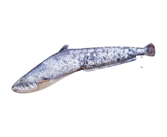 Gaby Sama spilvens 62 cm – Silurus glanis Matrači, virsmatrači un spilveni
