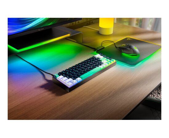 Razer Reclusa X Mini 65% Mechanical Gaming Keyboard Wired US Razer Mechanical Switches Gen-3 (Tactile) Black Klaviatūras