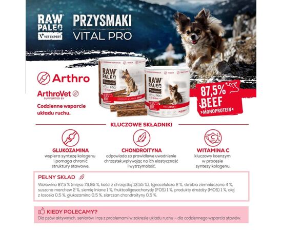 VetExpert Raw Paleo Vital Pro arthro beef medium large 100g Suņu barība