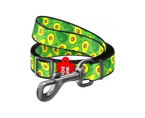 Waudog WAU DOG SMYCZ NYLON REGULOWANA            15mm/152-183cm AVOKADO Citas preces