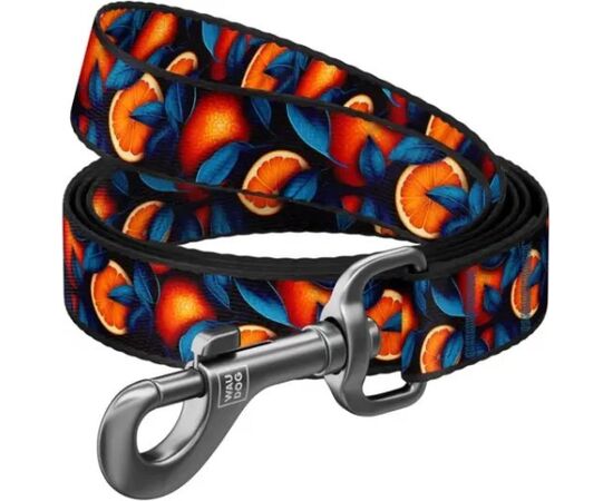 Waudog WAU DOG SMYCZ NYLON  M 20mm/300cm         POMARAŃCZE Citas preces