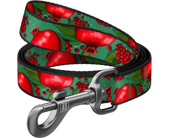 Waudog WAU DOG SMYCZ NYLON  S 15mm/300cm         GRANATY Citas preces