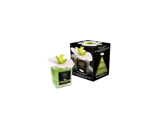 Sweet Home Collection White Musk and Peony Luxury Diffuser 150ml Jaunumi - Smaržas
